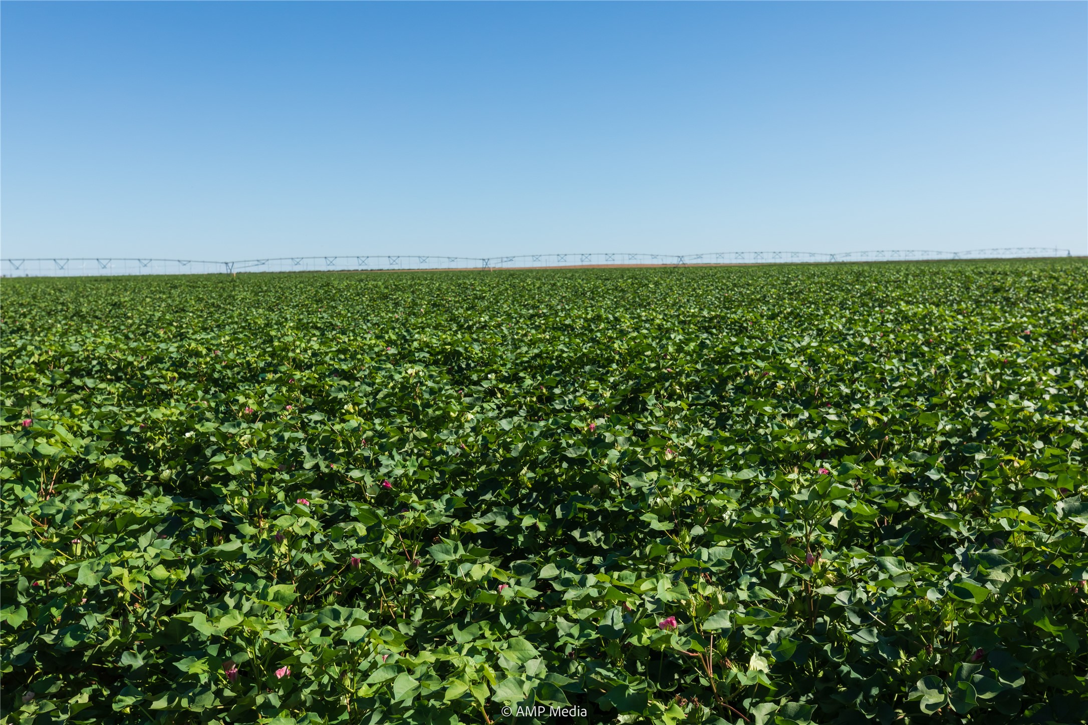 Tbd Cr 1691 O'brien TX 79521