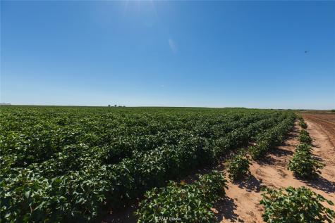 Tbd Cr 1691 O'brien TX 79521