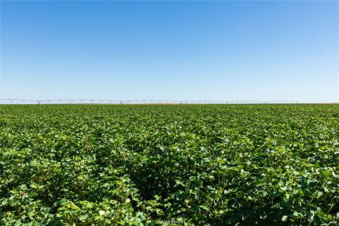 Tbd Cr 1691 O'brien TX 79521