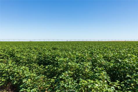 Tbd Cr 1691 O'brien TX 79521