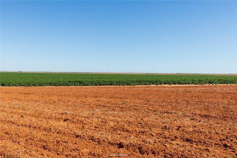 Tbd Cr 1691 O'brien TX 79521