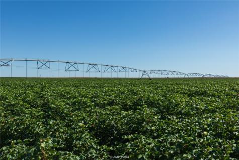 Tbd Cr 1691 O'brien TX 79521