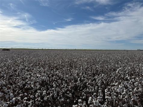 Tbd Cr 1691 O'brien TX 79521