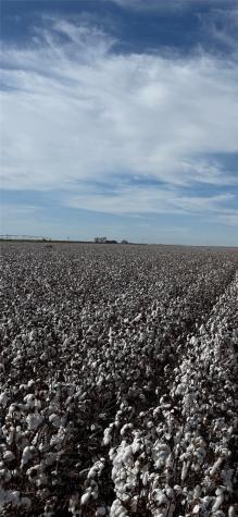 Tbd Cr 1691 O'brien TX 79521