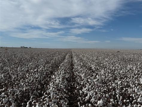 Tbd Cr 1691 O'brien TX 79521