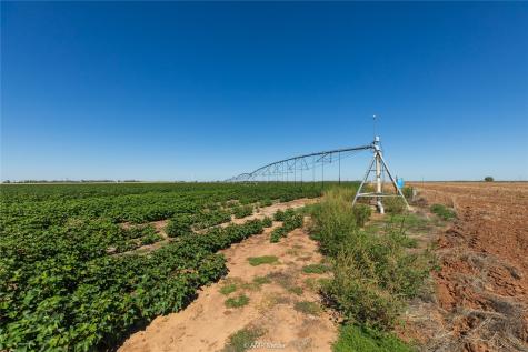 Tbd Cr 1691 O'brien TX 79521