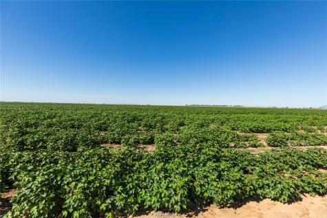Tbd Cr 1691 O'brien TX 79521