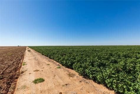 Tbd Cr 1691 O'brien TX 79521
