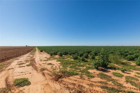 Tbd Cr 1691 O'brien TX 79521