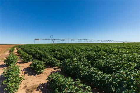 Tbd Cr 1691 O'brien TX 79521