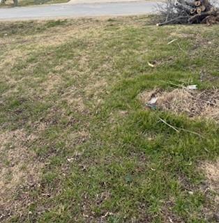 S40 - 20 3 Orr 0.069 Acre Ash Street Ferris TX 75125