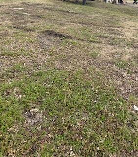 S40 - 20 3 Orr 0.069 Acre Ash Street Ferris TX 75125