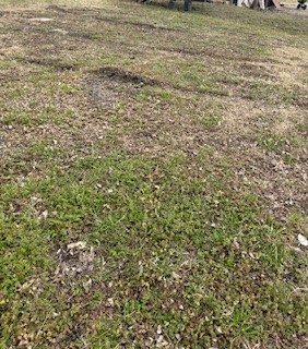 S40 - 20 3 Orr 0.069 Acre Ash Street Ferris TX 75125