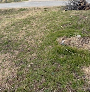 S40 - 20 3 Orr 0.069 Acre Ash Street Ferris TX 75125
