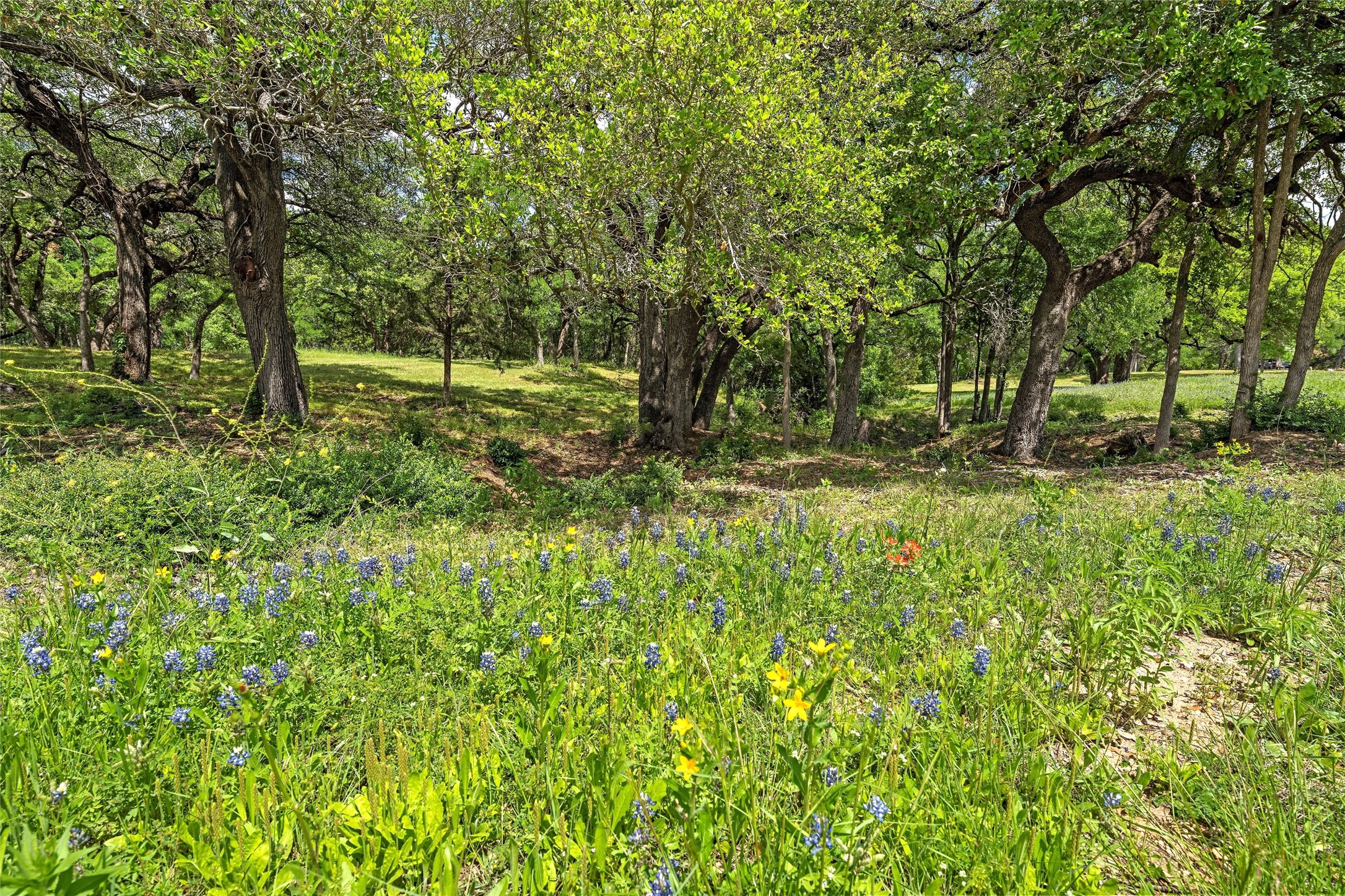 Lot 3 Keys On The Brazos Bunnyview Drive Waco TX 76708