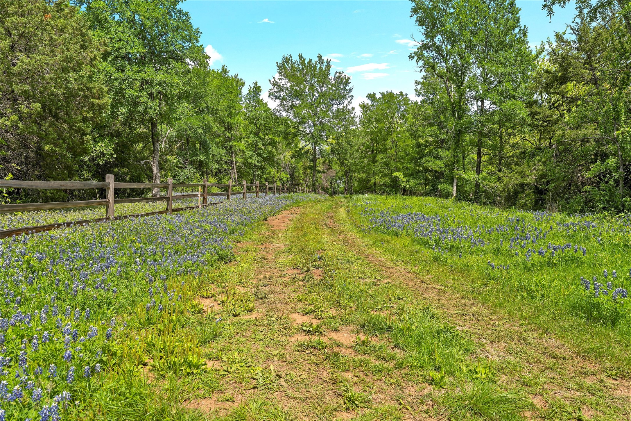 Lot 3 Keys On The Brazos Bunnyview Drive Waco TX 76708