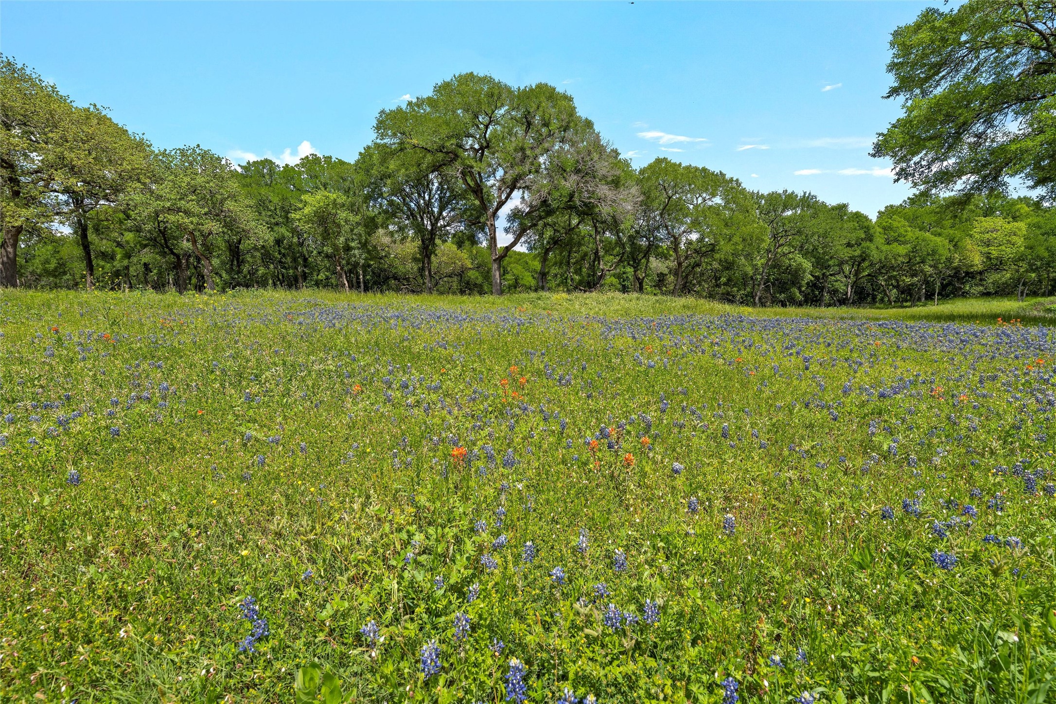 Lot 3 Keys On The Brazos Bunnyview Drive Waco TX 76708