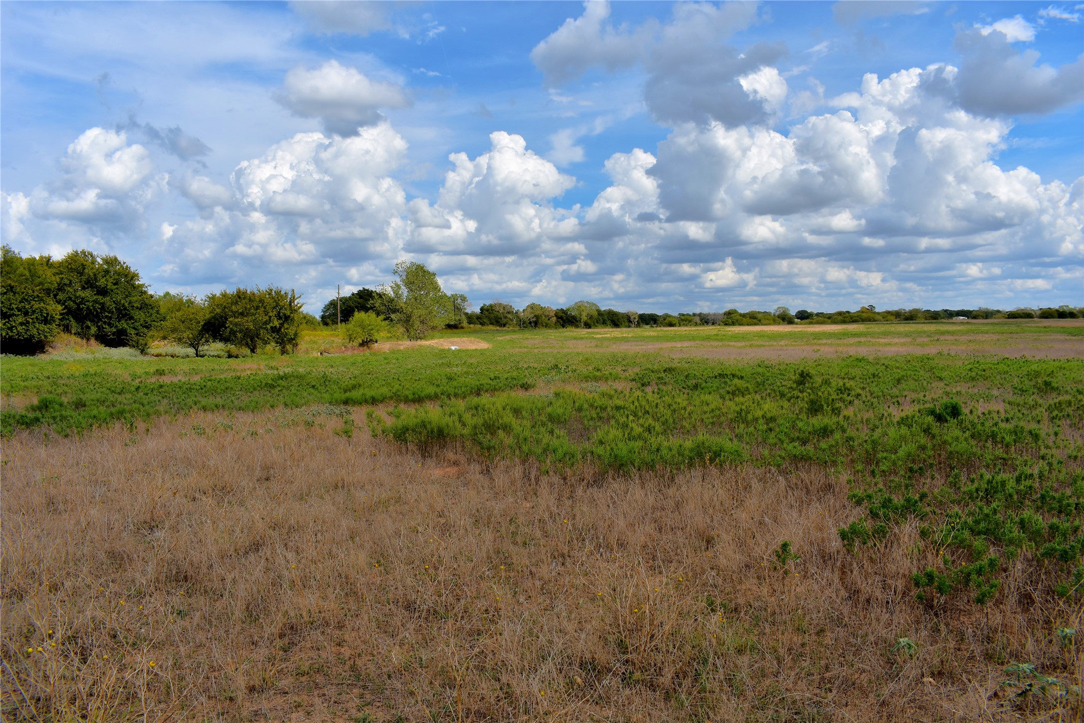 Tbd Highway 6 W De Leon TX 76444