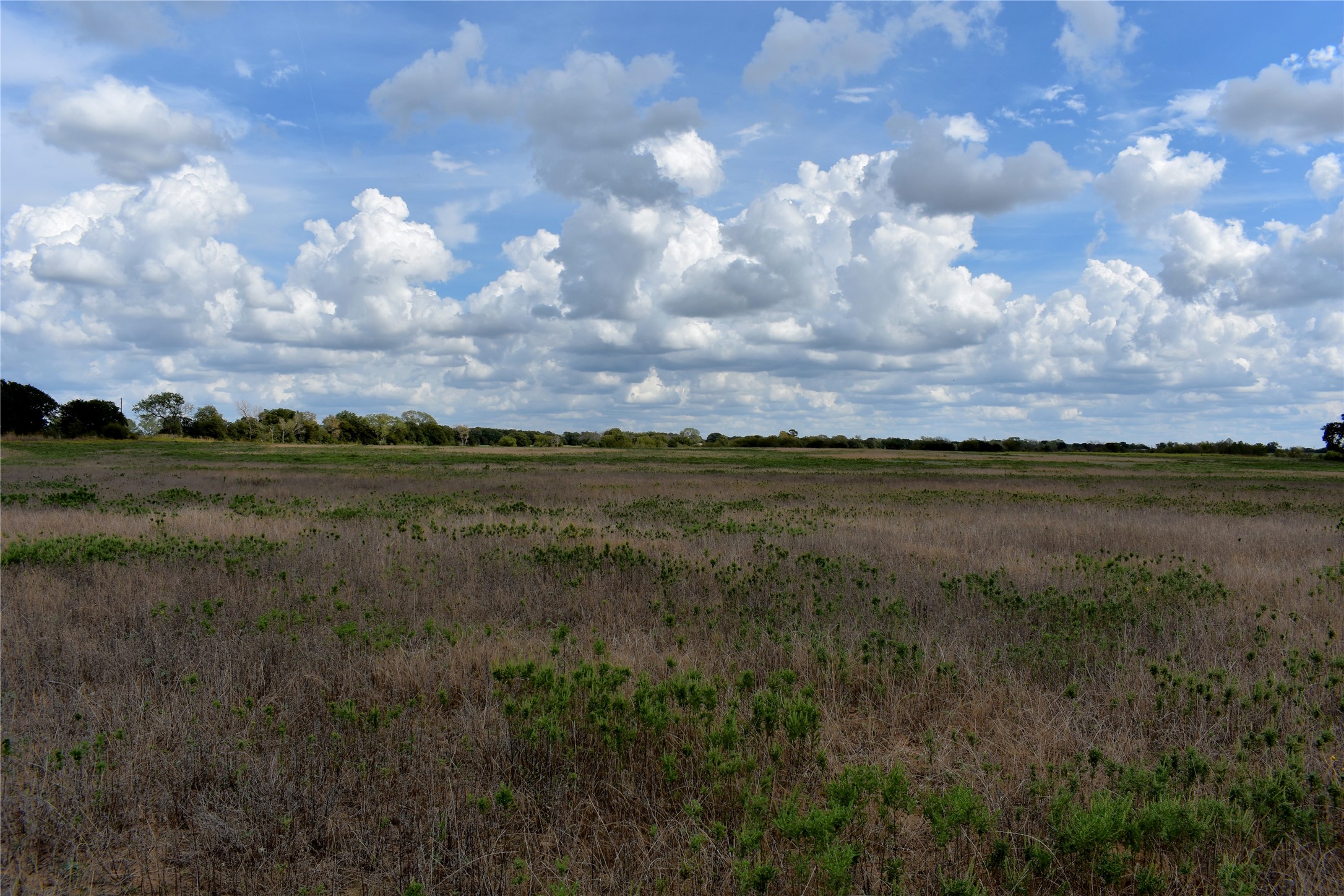 Tbd Highway 6 W De Leon TX 76444