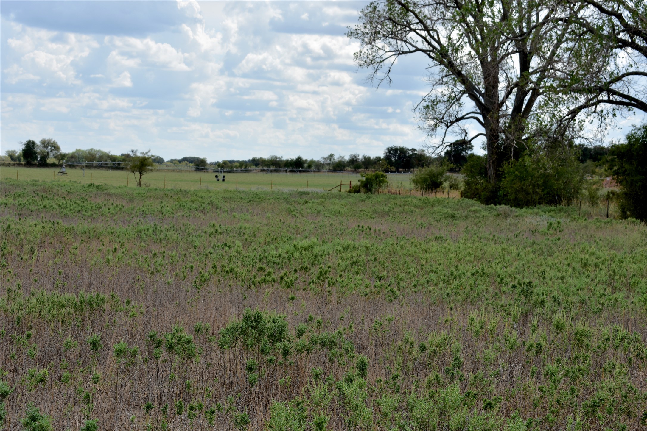Tbd Highway 6 W De Leon TX 76444