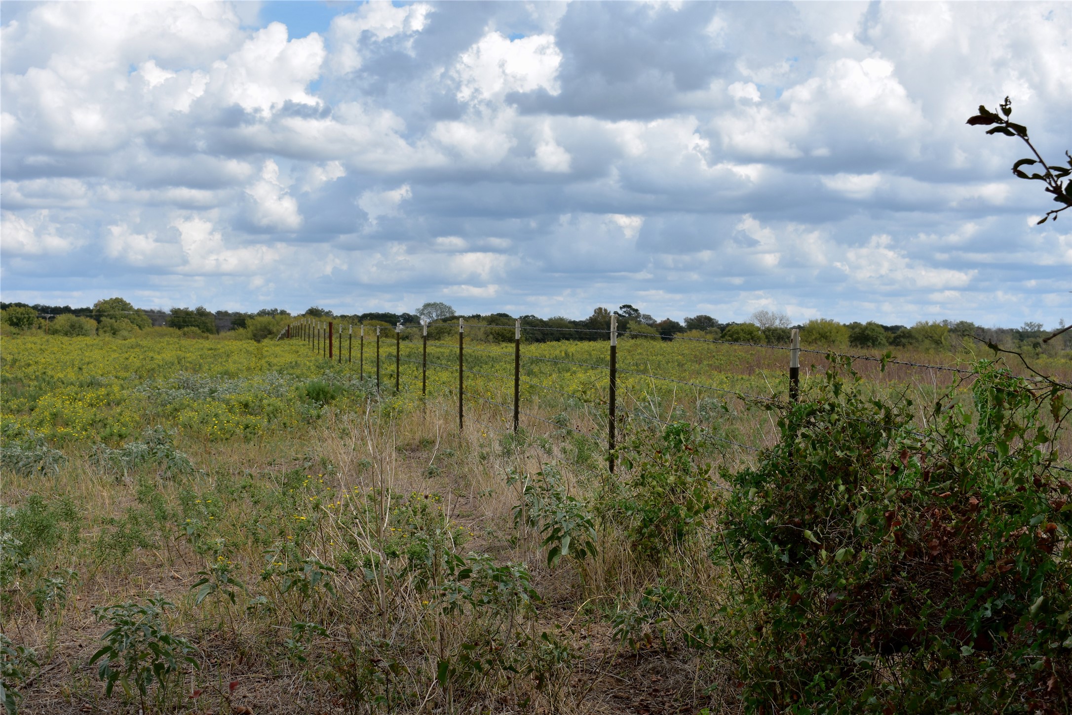 Tbd Highway 6 W De Leon TX 76444