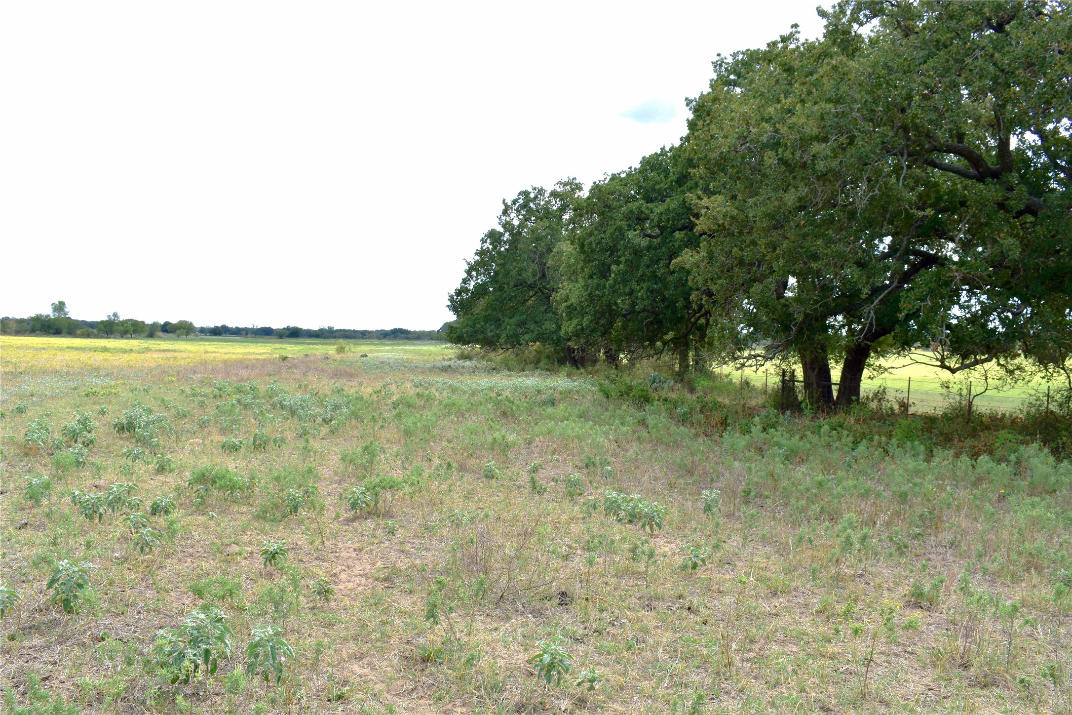 Tbd Highway 6 W De Leon TX 76444