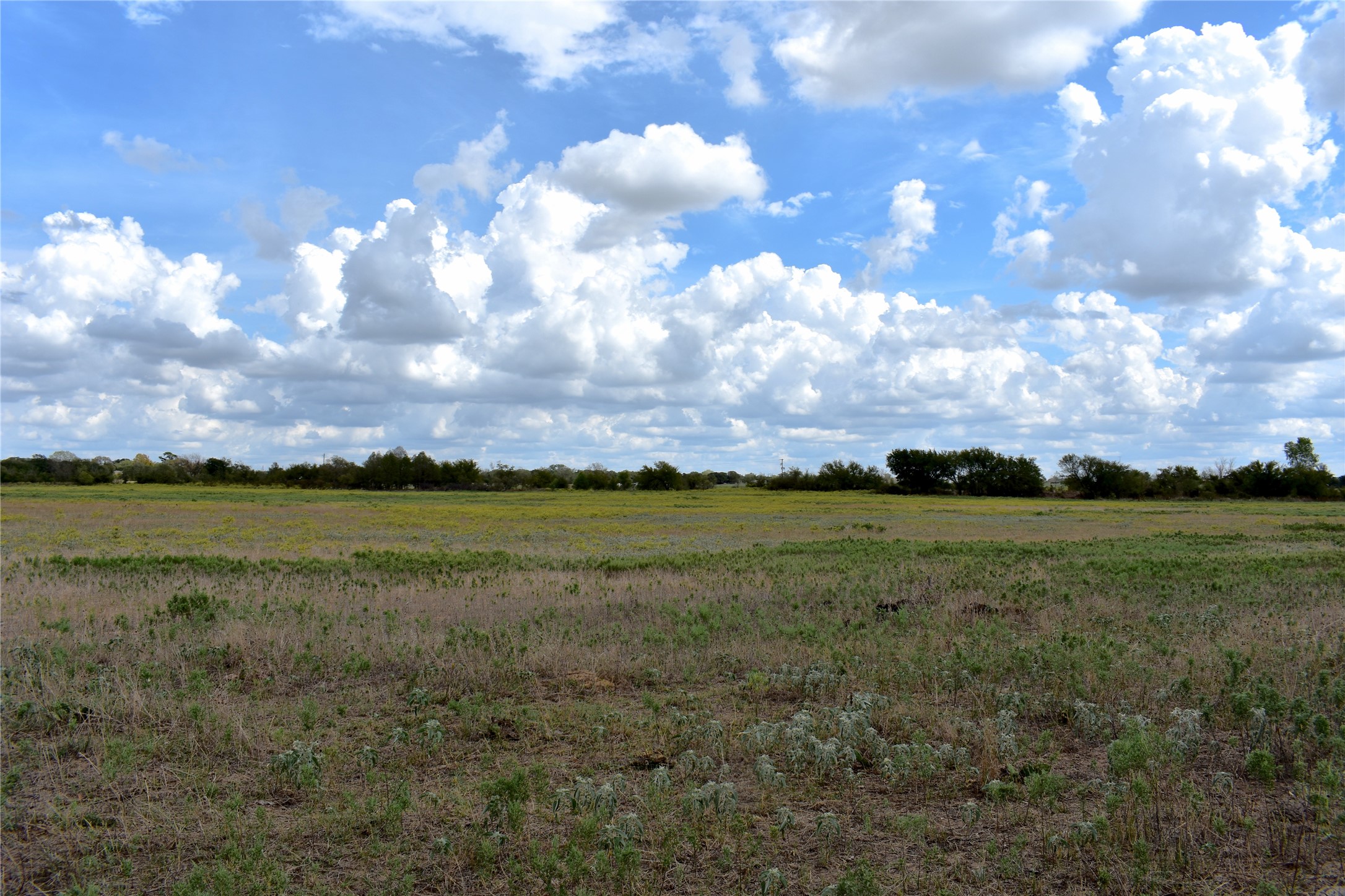 Tbd Highway 6 W De Leon TX 76444