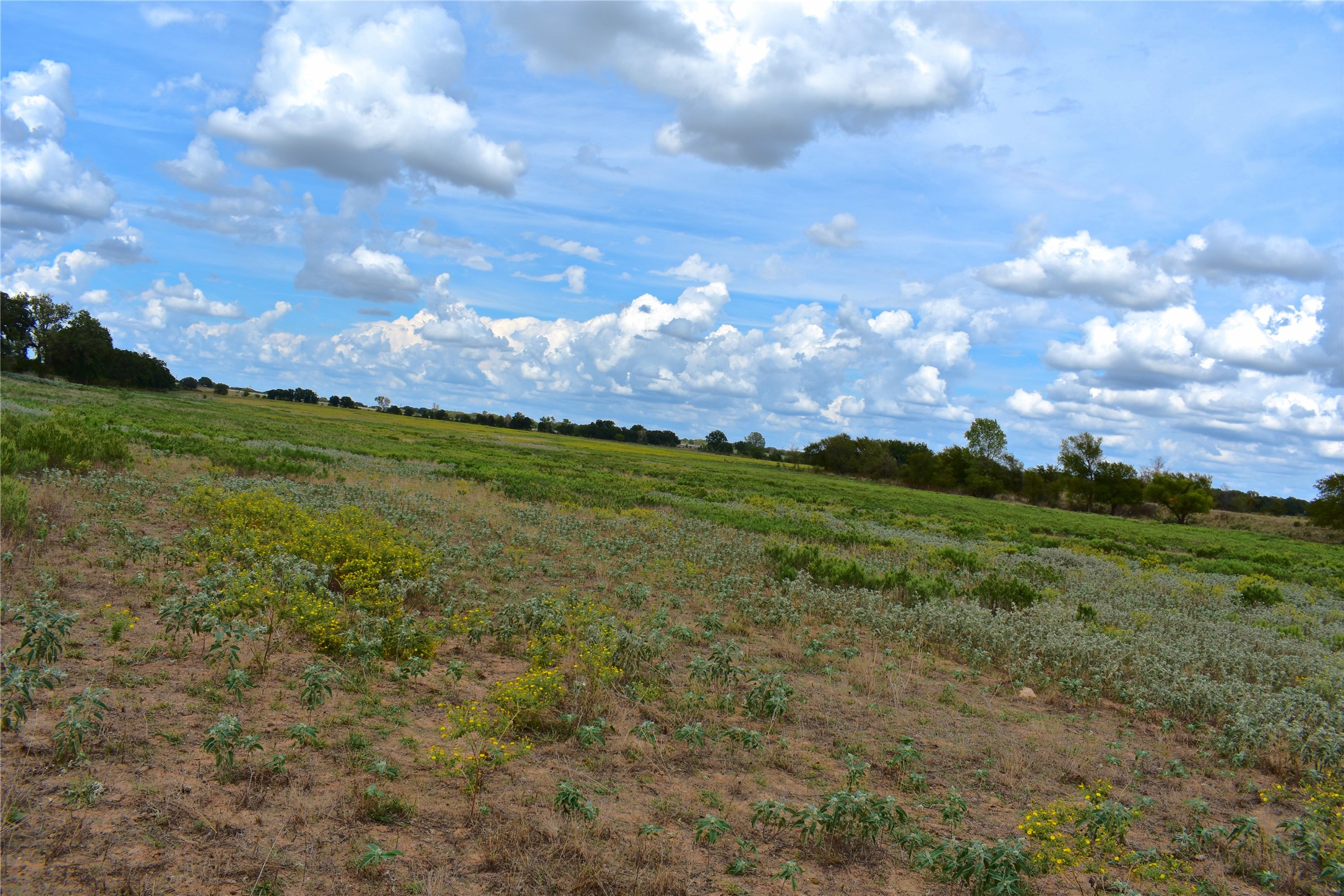 Tbd Highway 6 W De Leon TX 76444