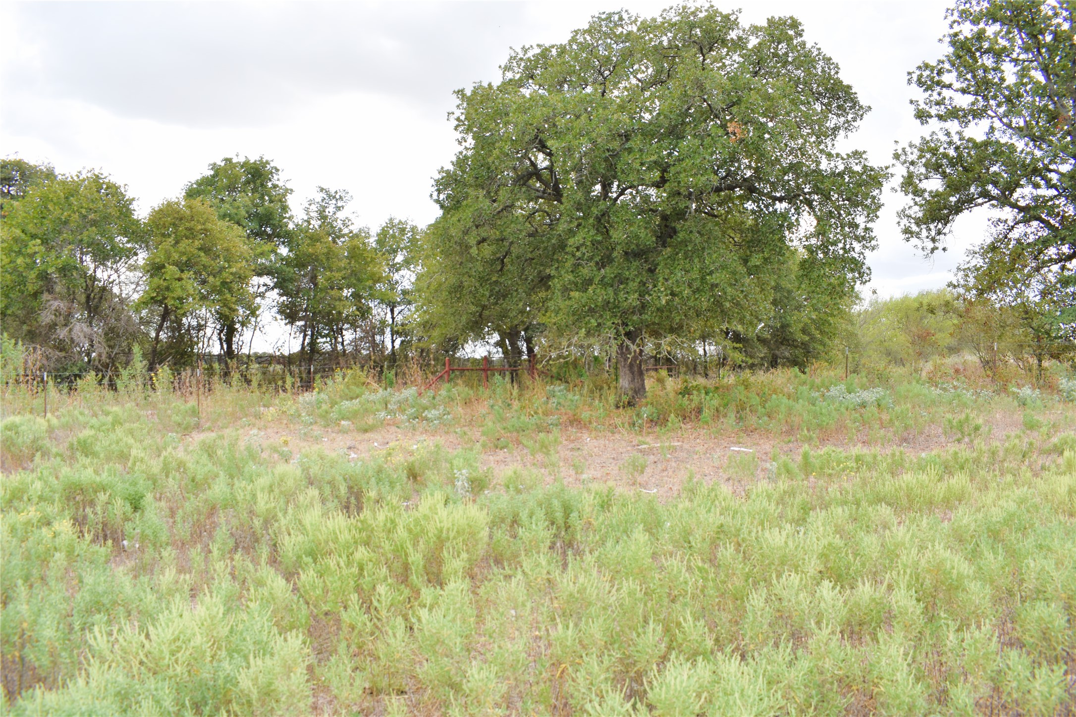 Tbd Highway 6 W De Leon TX 76444