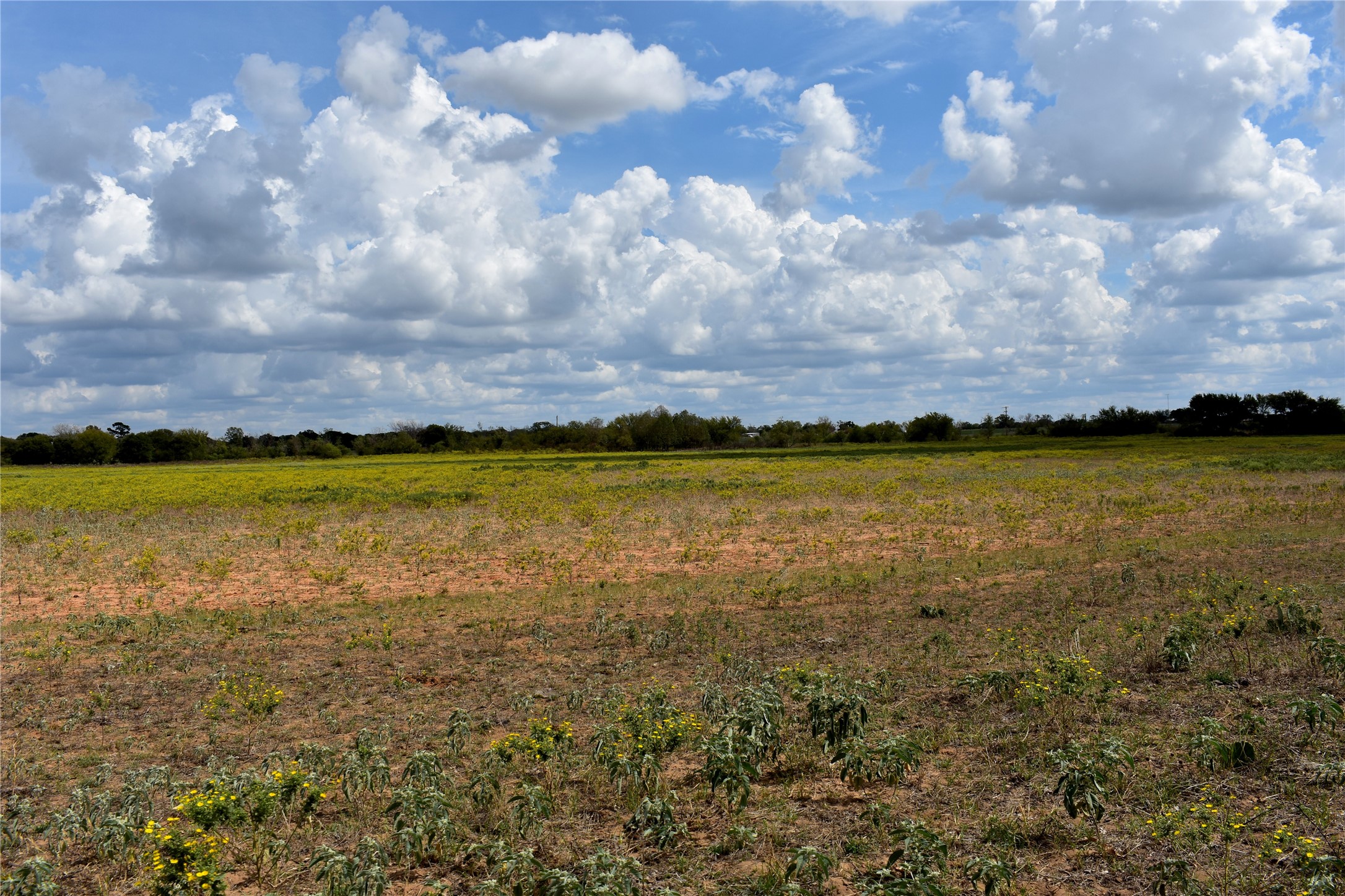 Tbd Highway 6 W De Leon TX 76444