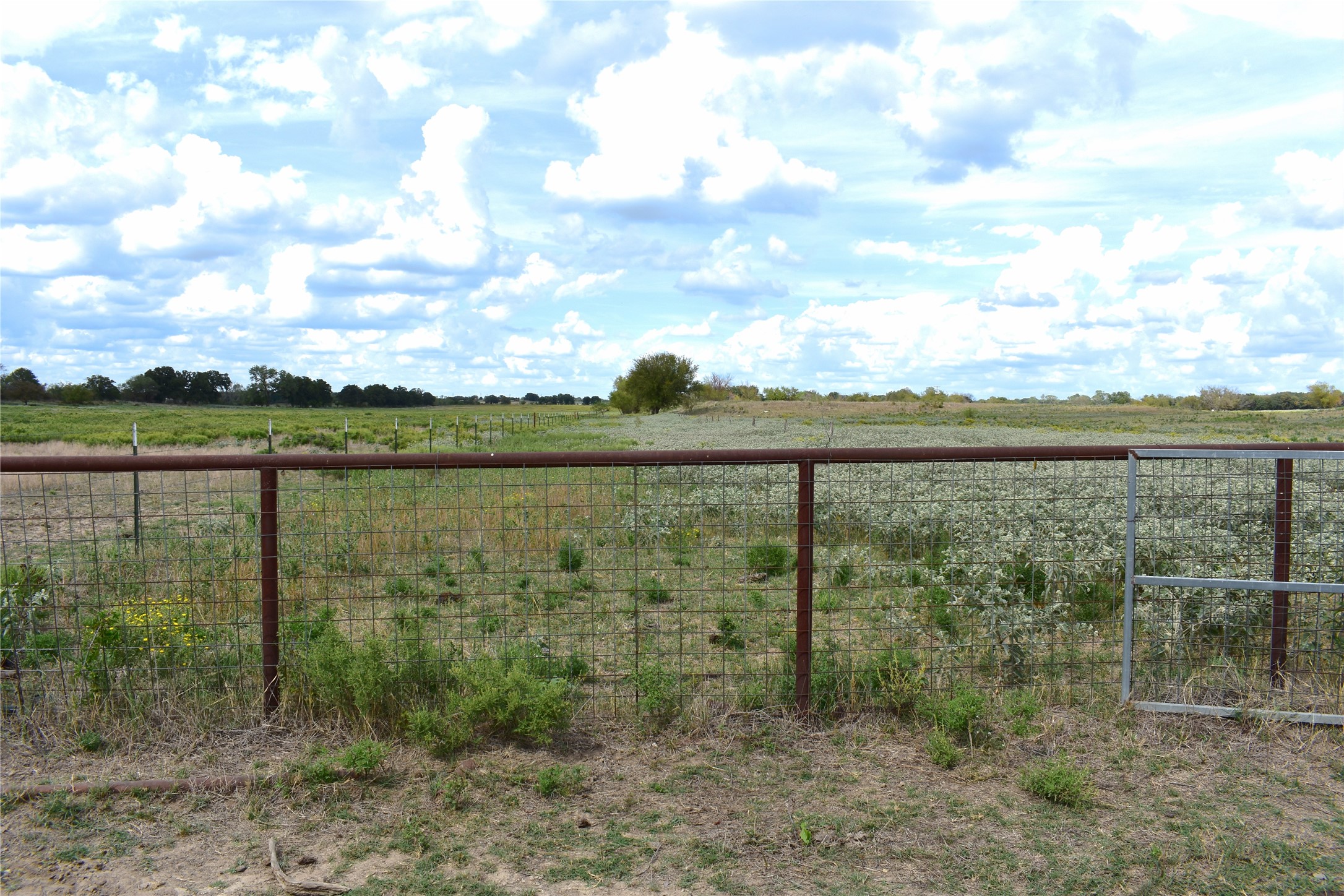Tbd Highway 6 W De Leon TX 76444