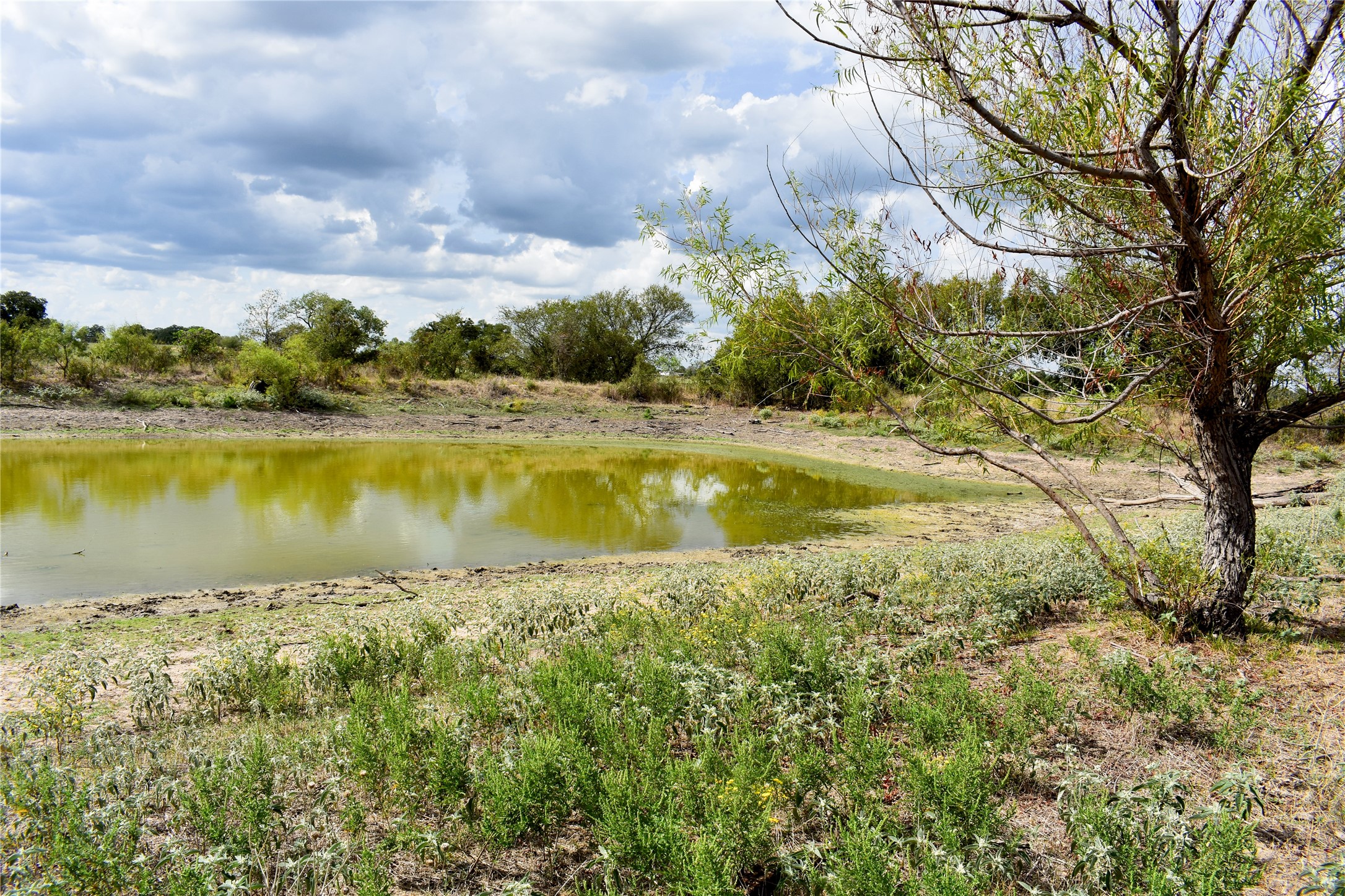Tbd Highway 6 W De Leon TX 76444