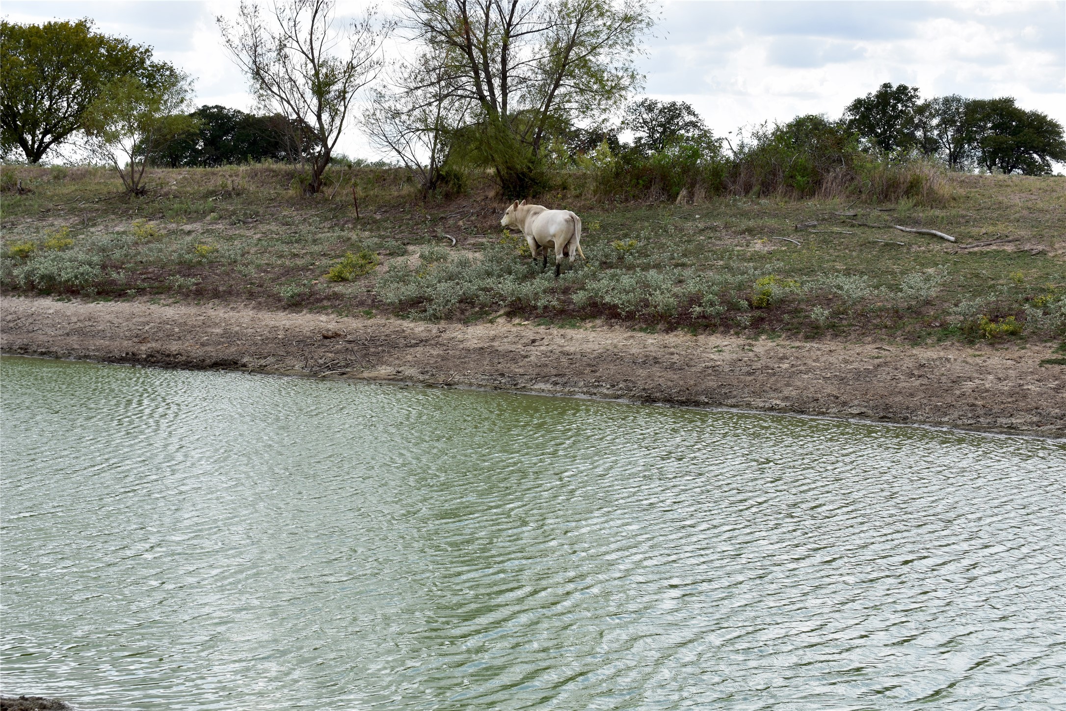 Tbd Highway 6 W De Leon TX 76444
