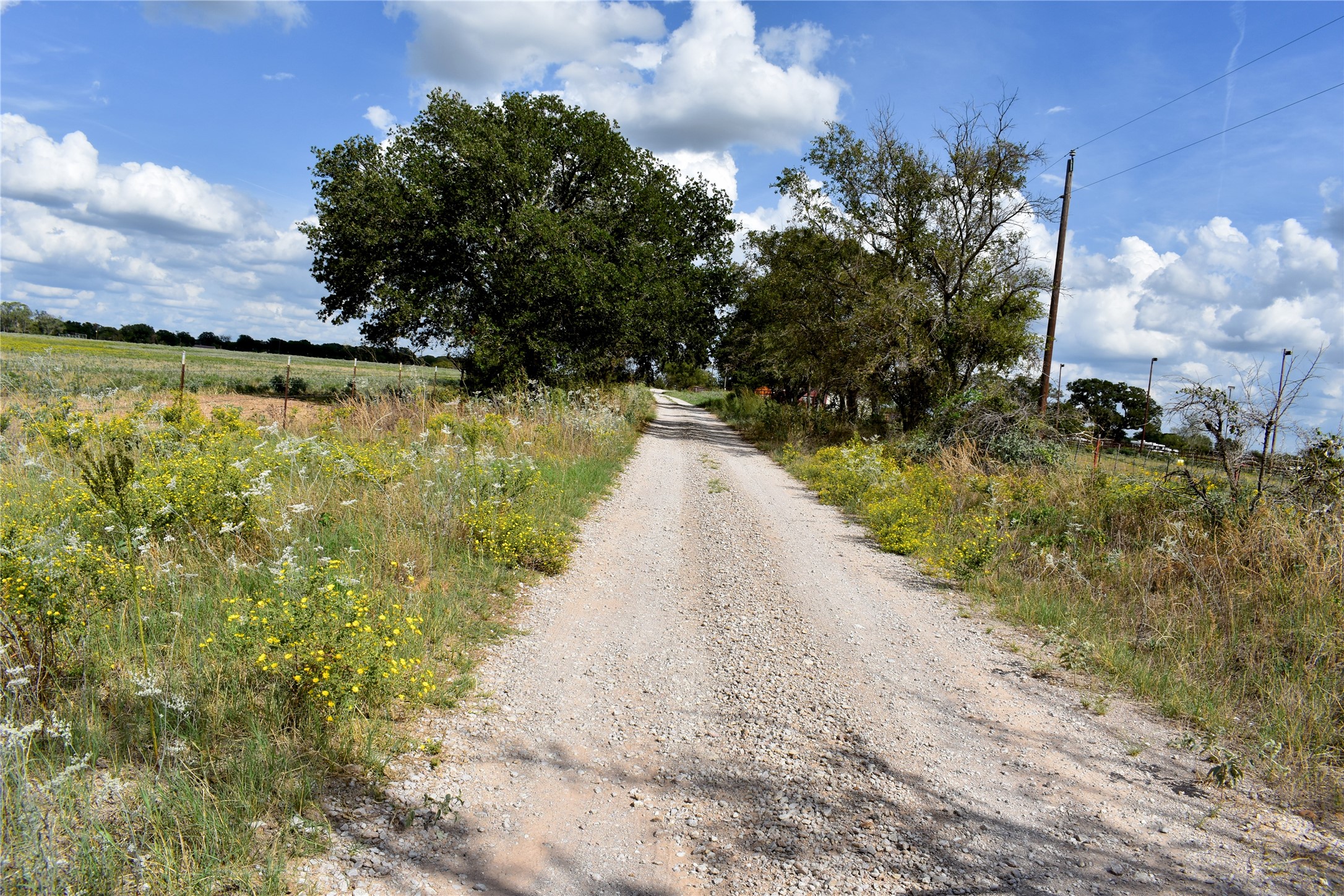 Tbd Highway 6 W De Leon TX 76444