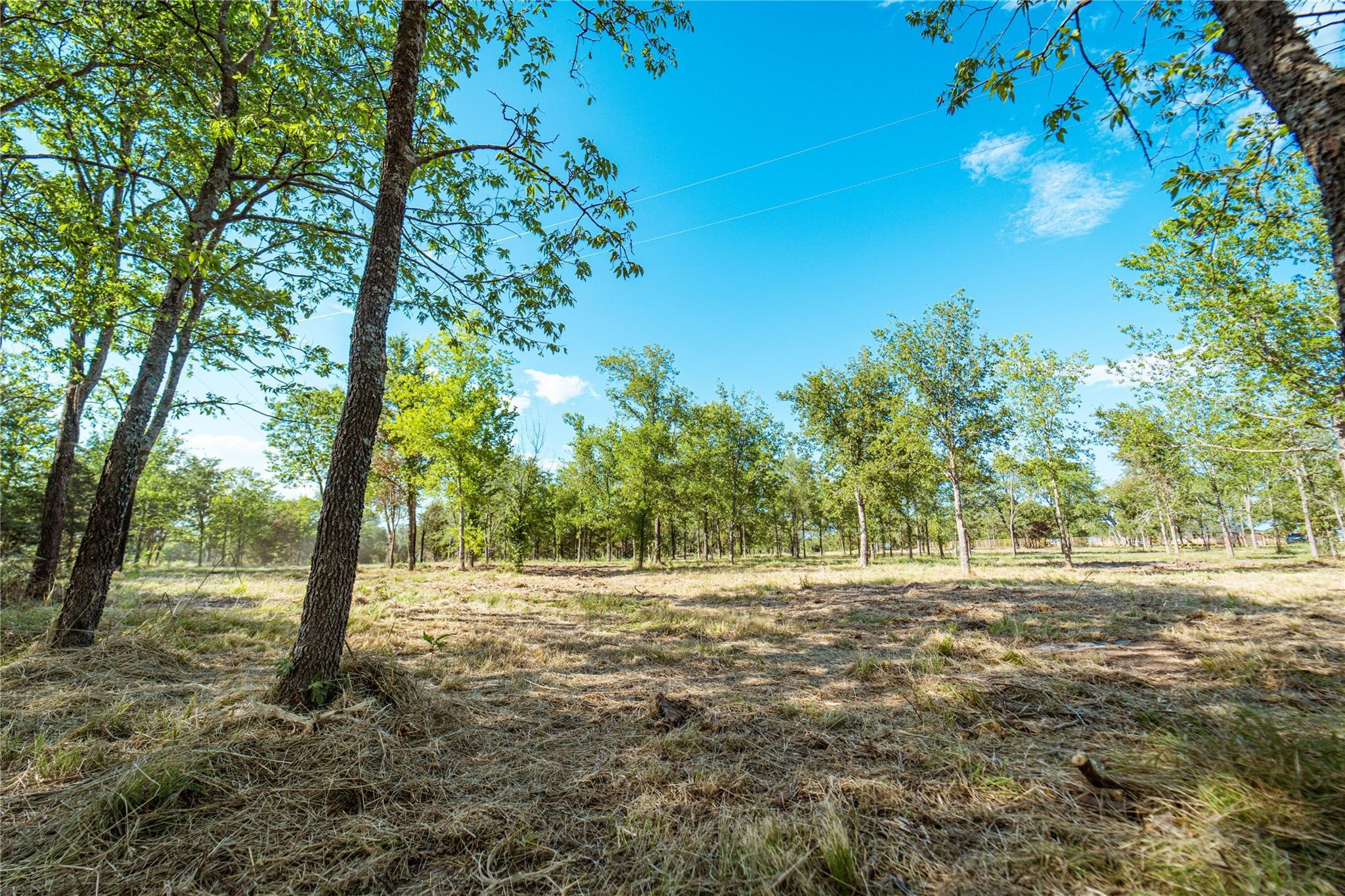 Lot 3 Cr 297 Gainesville TX 76240