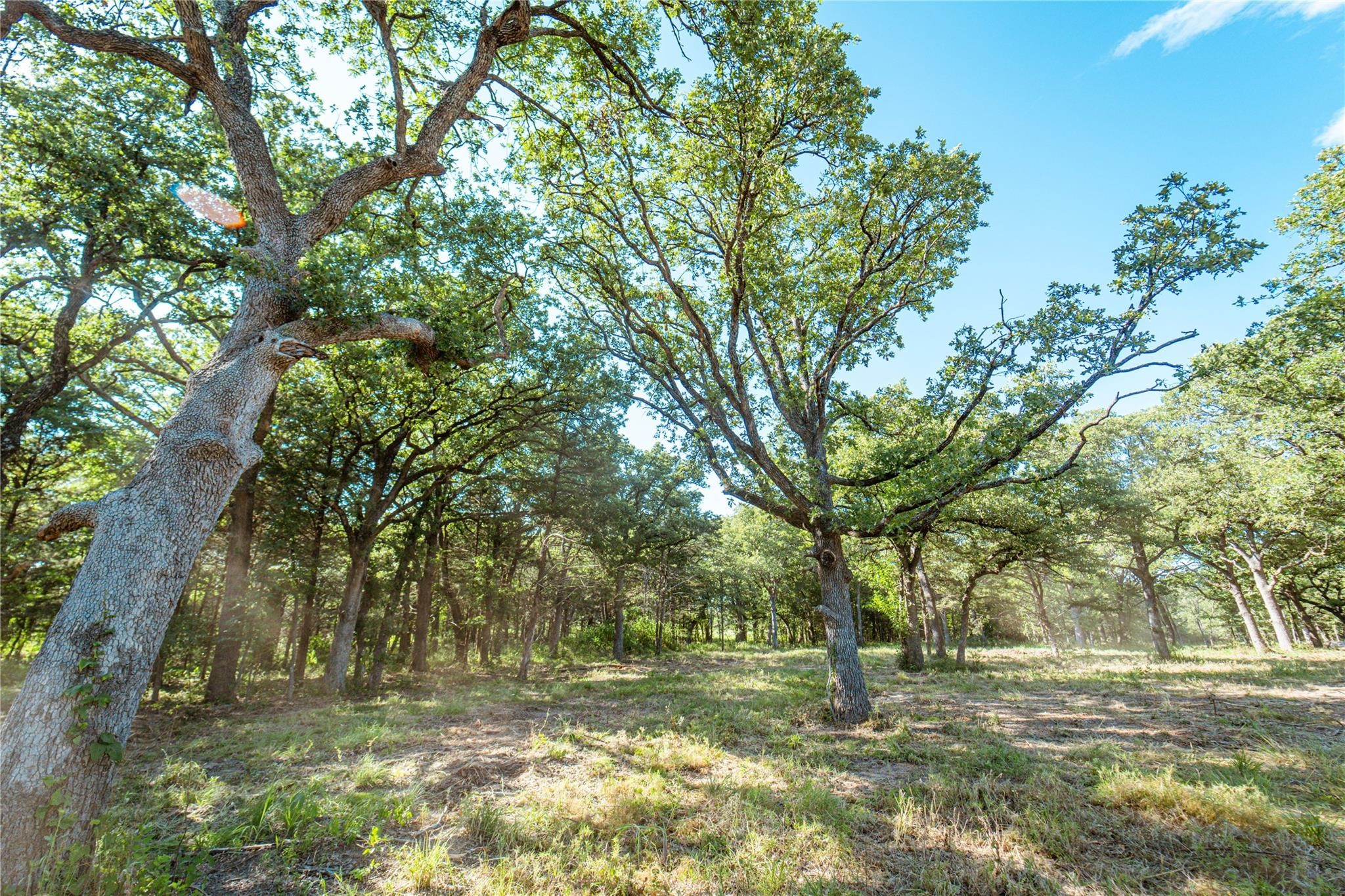 Lot 3 Cr 297 Gainesville TX 76240
