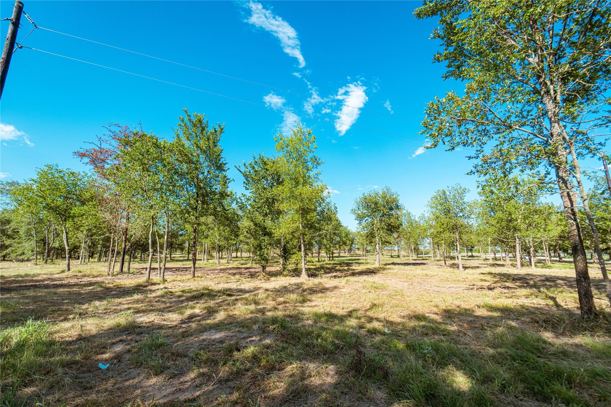 Lot 3 Cr 297 Gainesville TX 76240
