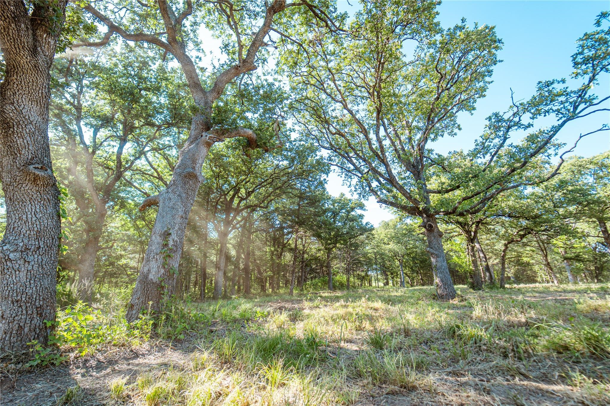 Lot 3 Cr 297 Gainesville TX 76240
