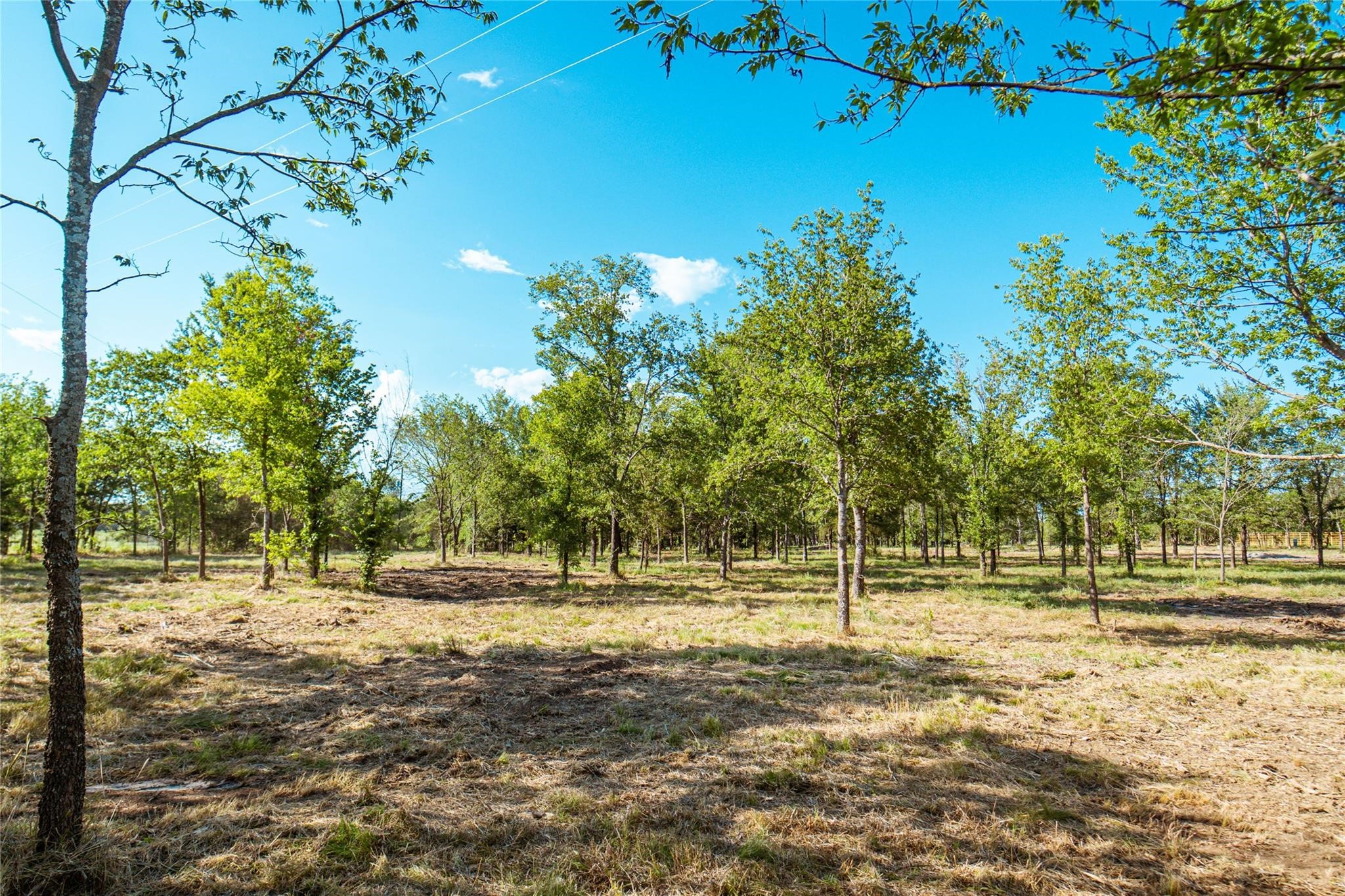 Lot 3 Cr 297 Gainesville TX 76240