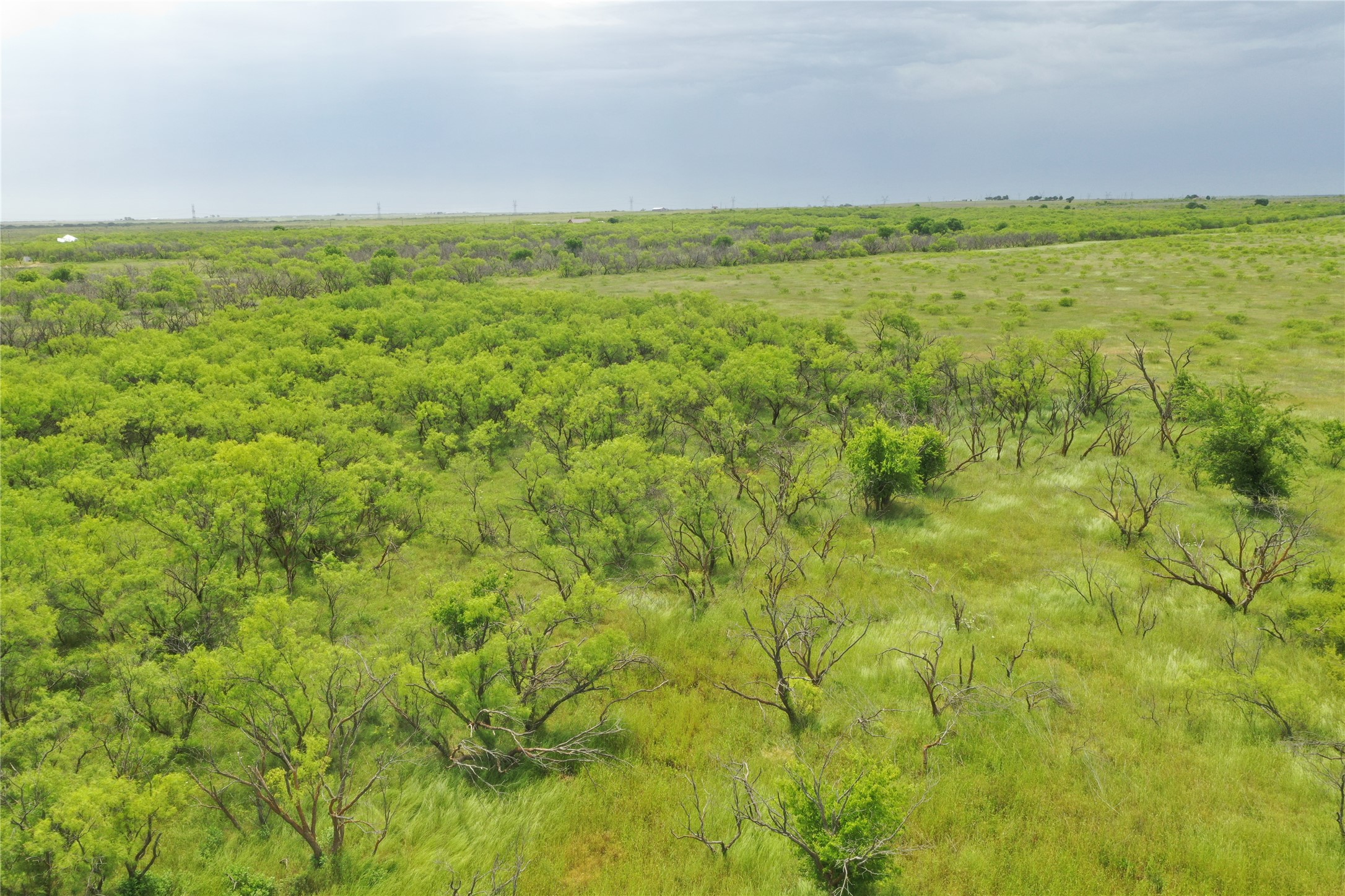 Tbd Fm 2321 Tract 2 Bellevue TX 76228
