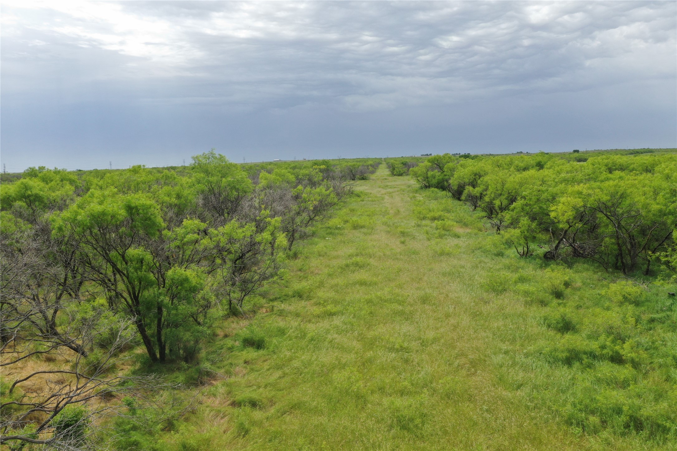Tbd Fm 2321 Tract 2 Bellevue TX 76228