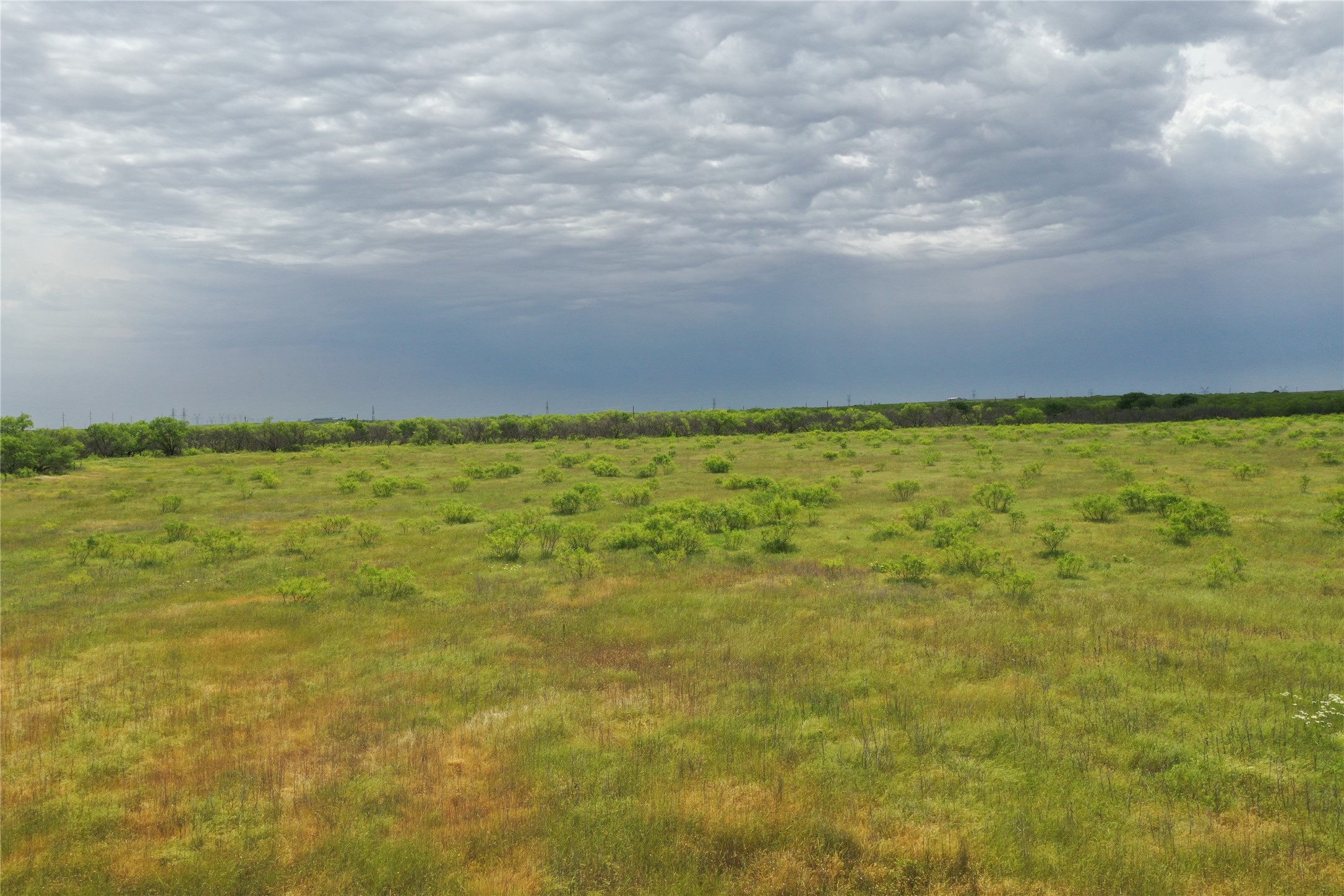 Tbd Fm 2321 Tract 2 Bellevue TX 76228