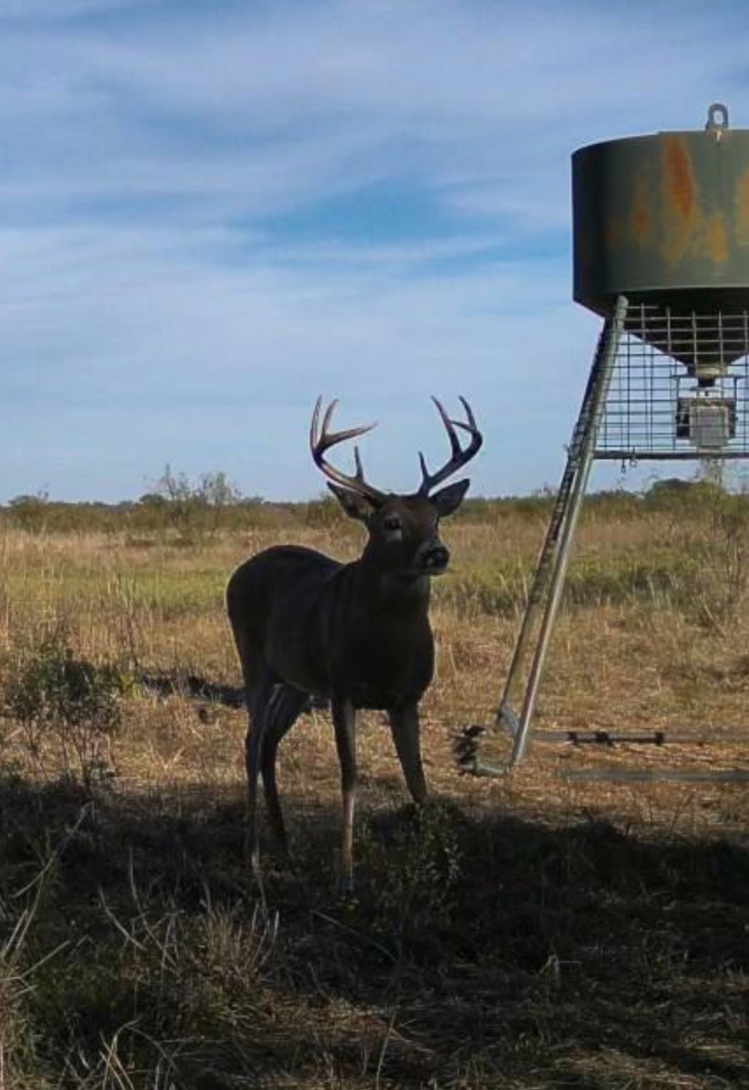Tbd Fm 2321 Tract 2 Bellevue TX 76228