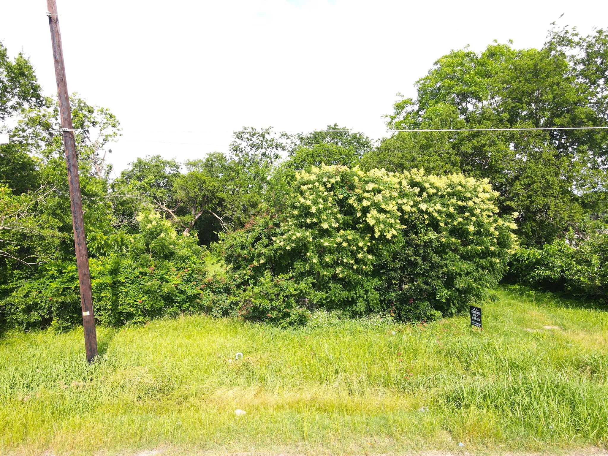 0 S Frances Street Terrell TX 75160
