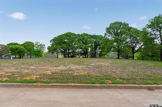 2473 Wellington Trace Tyler TX 75709