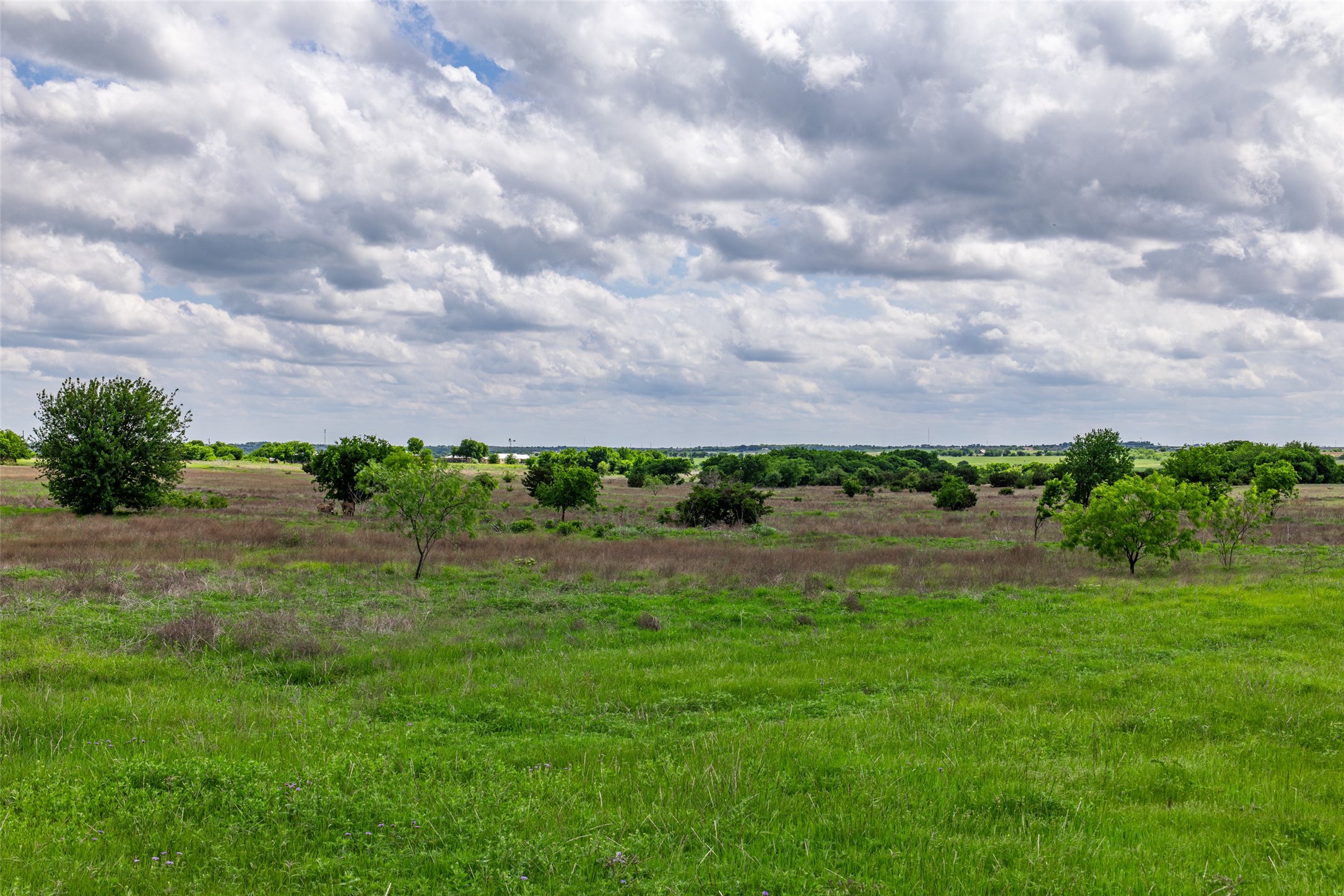 1764 Fm 2331 Godley TX 76044