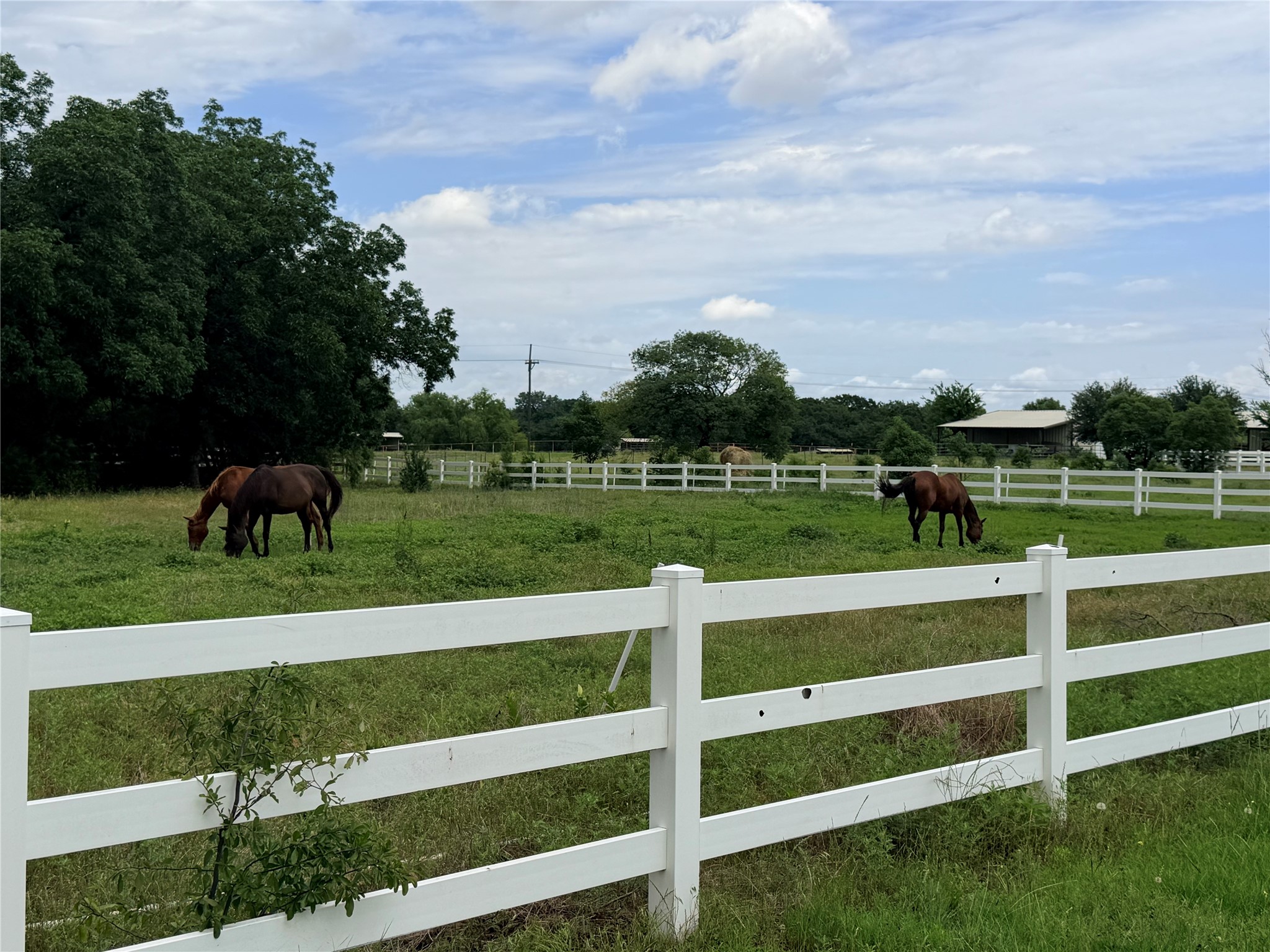 6832 Fm 2931 Aubrey TX 76227