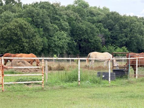 6832 Fm 2931 Aubrey TX 76227