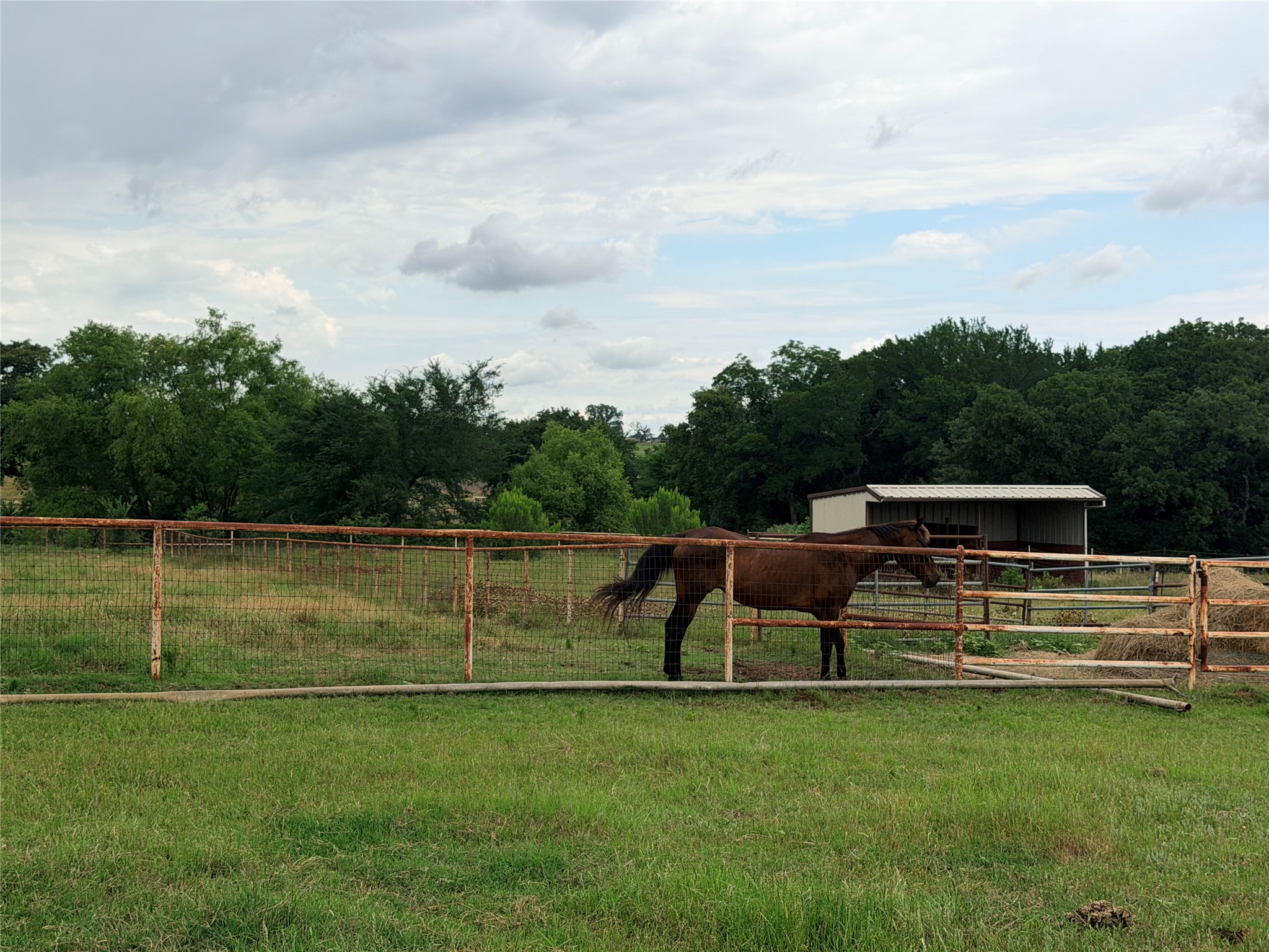 6832 Fm 2931 Aubrey TX 76227