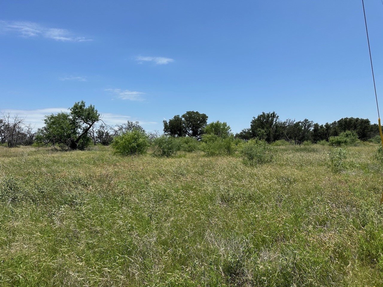 782 Feather Bay Drive Brownwood TX 76801